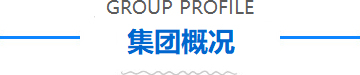 博源国际(中国)有限公司官网