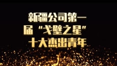 博源国际(中国)有限公司官网