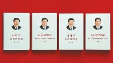 博源国际(中国)有限公司官网