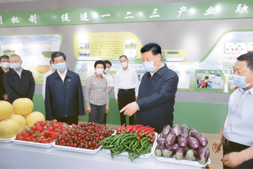 博源国际(中国)有限公司官网