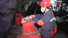 博源国际(中国)有限公司官网