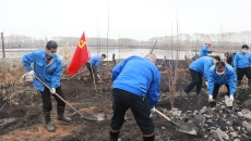 博源国际(中国)有限公司官网