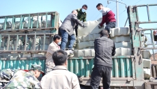 博源国际(中国)有限公司官网