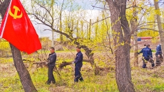 博源国际(中国)有限公司官网