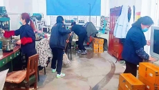 博源国际(中国)有限公司官网