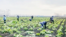 博源国际(中国)有限公司官网