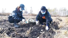 博源国际(中国)有限公司官网