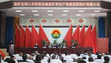 博源国际(中国)有限公司官网