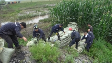 博源国际(中国)有限公司官网
