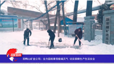 博源国际(中国)有限公司官网