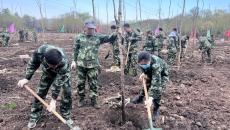 博源国际(中国)有限公司官网
