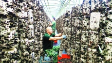 博源国际(中国)有限公司官网