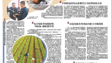 博源国际(中国)有限公司官网