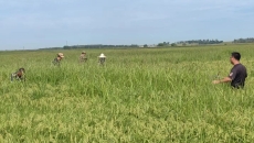 博源国际(中国)有限公司官网