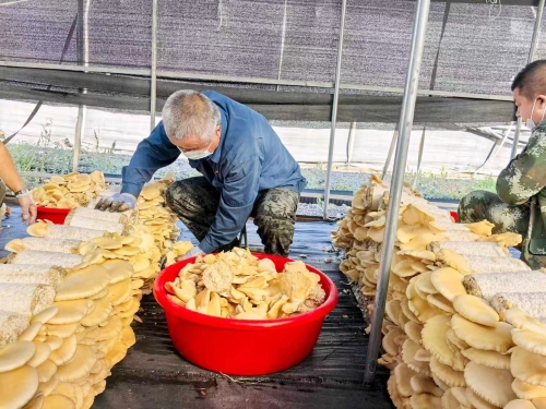 微信图片_2025-10-18_123236_188