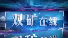 博源国际(中国)有限公司官网