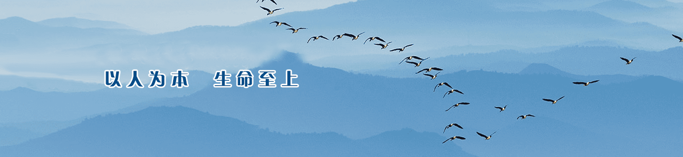 博源国际(中国)有限公司官网